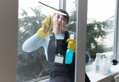 Nettoyage de vitres intérieures et extérieures à Juncalas